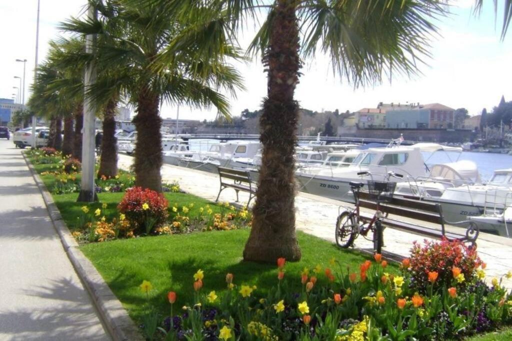 Hygge Zadar Apartment Luaran gambar